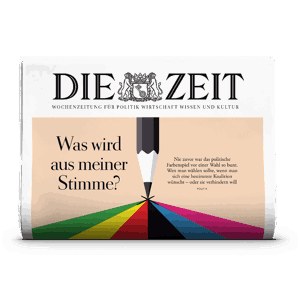 DZ Demokratie Print