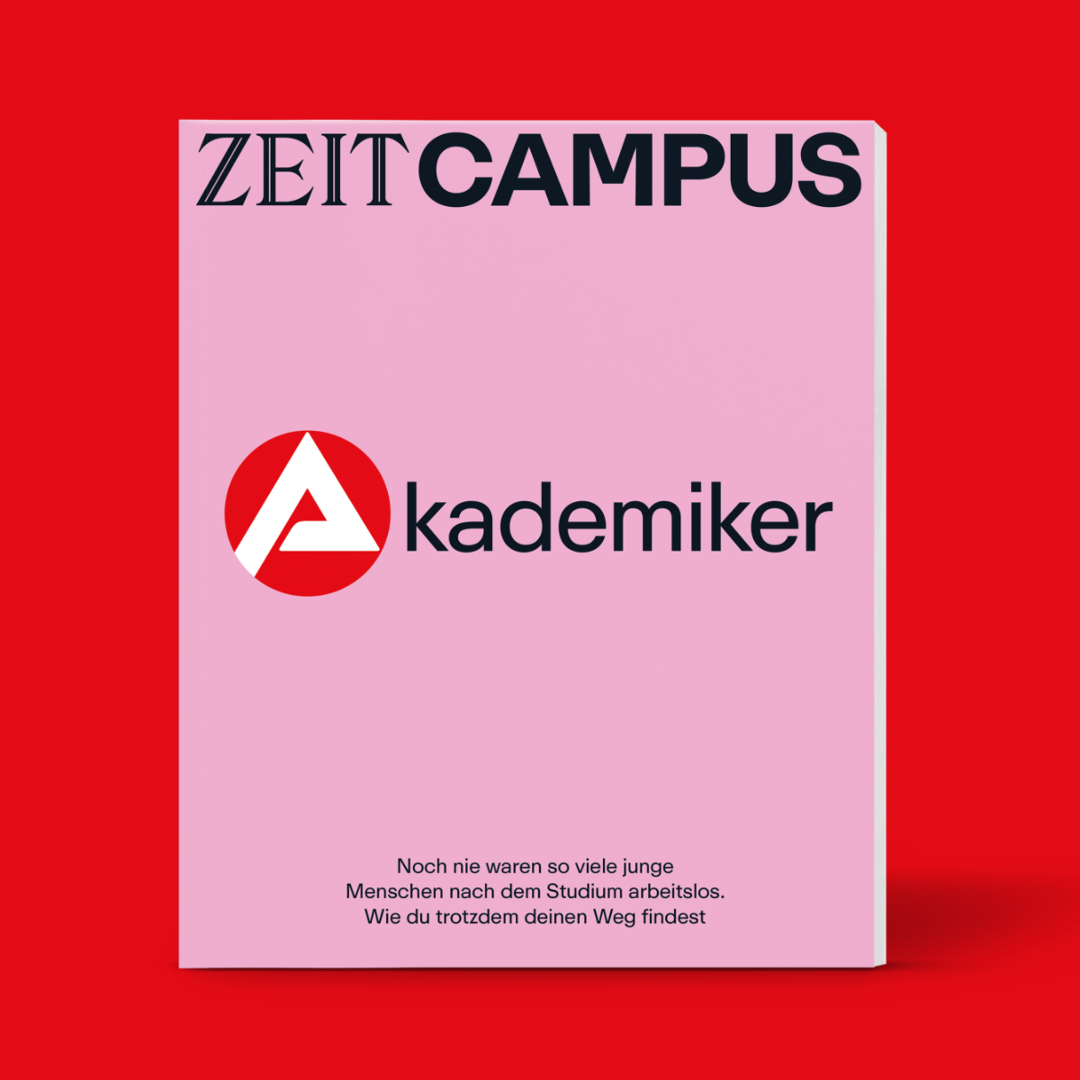 ZC 2602 1200X1200 LP